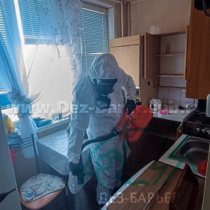 Дезинсектор держит красный распылитель, обрабатывая кухонную зону