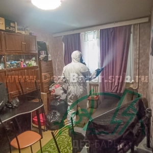 дезинсектор направляет струю распылителя в сторону окна, в комнате