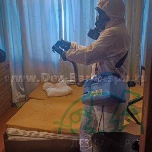 Дезинсектор обрабатывает пространство у окна, в руках — распылитель
