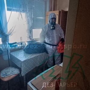 дезинсектор в респираторе стоит у стола в кухне, направляя струю распылителя